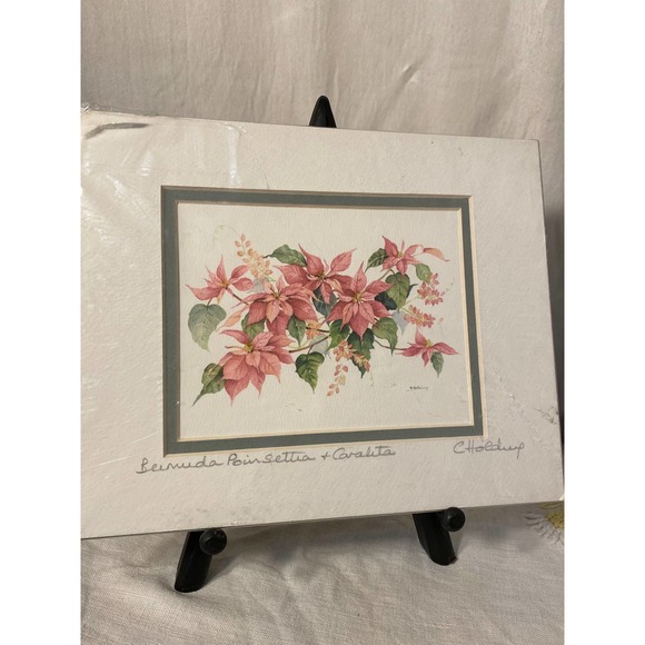 Signed Watercolor Print “Bermuda Poinsettia and Coralita” by Carole Holding - Picture 1 of 12